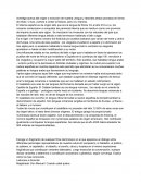 Investiga acerca del origen y evolución de nuestra Lengua