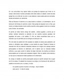 El caballo y el conejo