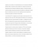 ENSAYO ECONOMÍA ARGENTINA