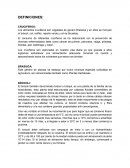 Los alimentos crucíferos