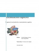 Programa de estimulación y mantenimiento cognitivo