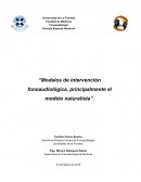 Modelos de intervención fonoaudiológica, principalmente el modelo naturalista