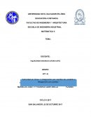 Tarea Evaluada 1 Matematicas II