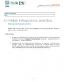 Actividad integradora: práctica Enfermería en la salud colectiva