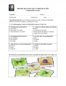PRUEBA DE LENGUAJE Y COMUNICACIÓN Comprensión Lectora