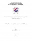 FACTORES ESTRATEGICOS MAMAKO'S SAC