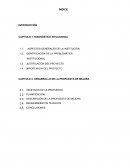 Proyecto Pimpollo: identificacion de problematica