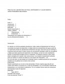 PRACTICA DE LABORATORIO DE FISICA: ENFRIAMIENTO Y CALENTAMIENTO