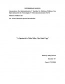 La Importancia de las Políticas Públicas, Felipe Valencia Dongo
