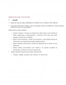 Plan de Capacitación Trabajo Social