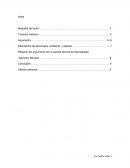 Resena libro El secreto