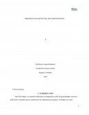 MEDICION DE GESTION DEL RECURSO HUMANO