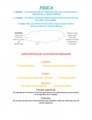 Ensayo Fisica