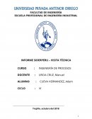 Informe de la Empresa SIDERPERU