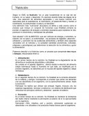 Nutricion. Alimentación. Metabolismo