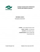 INFORME CLÍNICO. “Hiperplasia endometrial”