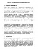 CAPITULO 2: INDUSTRIA MINERA DEL COBRE Y SIDERURGICA