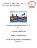 Cultura ambiental y sus problemas