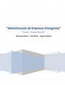 Administración de Empresas Emergentes