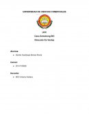 Caso Armstrong INC Dirección En Ventas