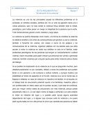 Erradición de la violencia