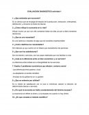 EVALUACION DIAGNOSTICO actividad economía