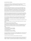 IMPLEMENTACIÓN DE SPONSORS