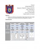 Practica 6 “CROMATOGRAFÍA CCF”