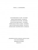 TEORÍA X, Y, Z & REINGENIERÍA