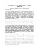 IDENTIFICACION DE MERISTEMOS Y TEJIDOS ADULTOS