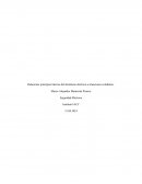 Relacionar principios básicos del fenómeno eléctrico a situaciones cotidianas