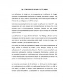 CALIFICADORAS DE RIESGO EN COLOMBIA