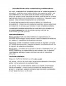 Remediación de suelos contaminados por hidrocarburos