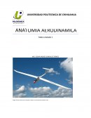 ANATOMIA AERODINAMICA