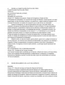 CONSTITUCIÓN POLÍTICA DEL PERÚ