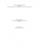 ENSAYO ARGUMENTATIVO SOBRE LA PLANEACIÓN ESTRATÉGICA