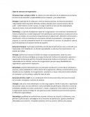 Tipos de estructura de organización