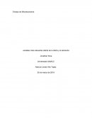 Variables más relevantes detrás de la oferta y la demanda