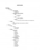 INFECTOLOGÍA BACTERIAS. ANTIBIÓTICOS