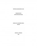 PORTAFOLIO DELEGACIÓN DE CUBA