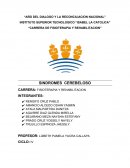 Tipos de sindrome cerebeloso