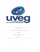 Ingeniería en Gestión de Tecnologías de Información