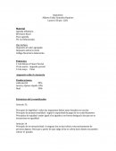 Analizis del Sistema legal mexicano