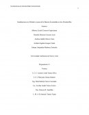 Inundaciones en Allende a causa de la Basura Acumulada en las Alcantarillas