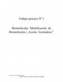 Trabajo practico Nº 1 Biomoléculas “Identificación de Biomoléculas y Acción Enzimática
