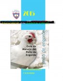Trabajo escolar Produccion de Pollos de Engorde