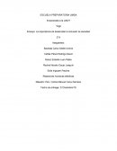 La importancia de desarrollar la inclusión la sociedad