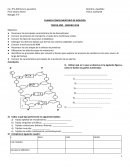 Examen biologia 3er año