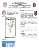 Bioquimica. Determinación de aminoácidos terminales