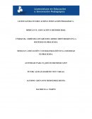 LA IDENTIDAD NACIONAL Y EL DEBILITAMIENTO DEL ESTADO NACIÓN